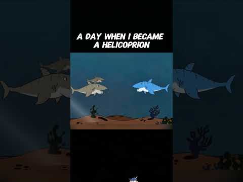 If you were a Helicoprion, you would...#animals #Friendship #Us #cute #Rescue