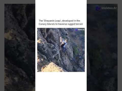 Shepherd's Leap EXPERT Shares Top Brinco Canario Techniques