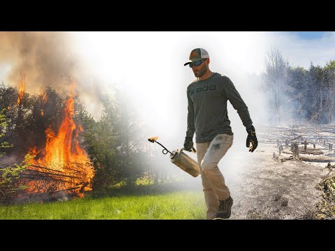 Goodbye Cedars!  Why I Am Burning Down More Cedar Thickets!