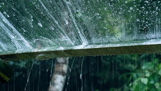 No Ads Rain Sounds for Sleeping - ASMR Rain and Thunder Sounds For Sleeping, Relaxing