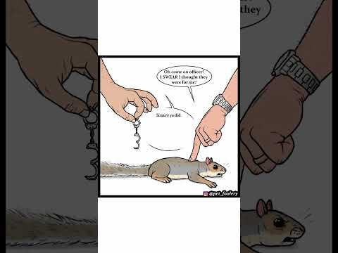 Pet Foolery: Squirrel (Comic Dub)