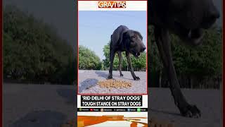 Supreme Court Orders Officials to Move Stray Dogs to Shelters | GRAVITAS