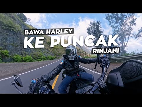 Hiruk Pikuk bawa Harley ke Rinjani | Eps 4 | Motovlog 378