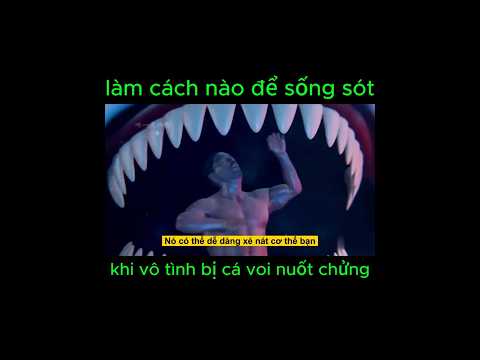Nếu Bạn Bị Cá Voi Nuốt Chửng: Hành Trình Sinh Tồn Kỳ Diệu