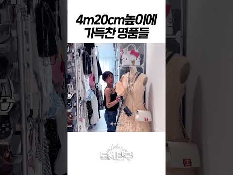 USM에 가득 찬 명품 가방