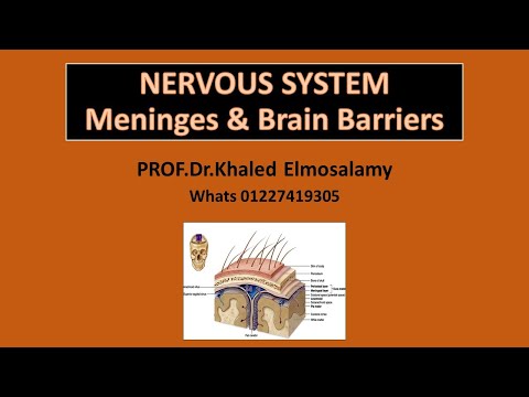 Meninges & Brain barriers- Histology of nervous system