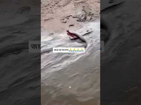 ভুল করেও কেউ এই ভিডিওটি এড়িয়ে যাবেন না অহংকার করলেই বিপদ জয় মা মনসা 🙏৭দিনের মধ্যে ভাগ্য বদলে যাবে
