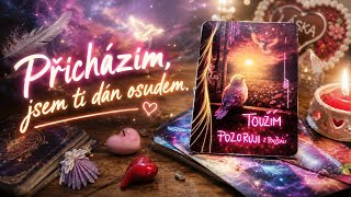 ❤ PŘICHÁZÍM, PROTOŽE JSEM TI DÁN OSUDEM‼️