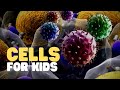 Cell Structure and Function Concepts