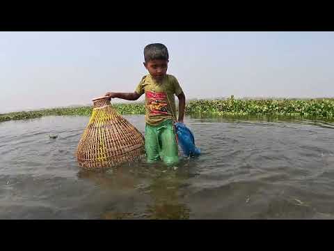 Traditional Small Boy Fishing By Polo|Village Fishing Video|