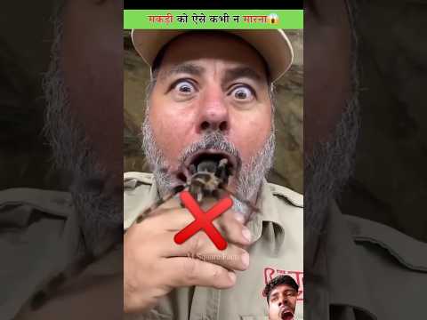 मकड़ी के साथ ऐसा कभी न करना😱#youtubeshorts #reallifehacks #facts #funny #animals #reallifehacks