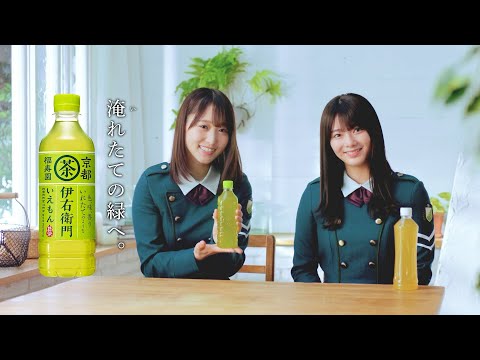 欅坂46・菅井友香、田村保乃と「伊右衛門」ウェブ動画出演で“飲みレポ”