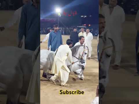 Ustad Tanveer Ahmed Barwana"