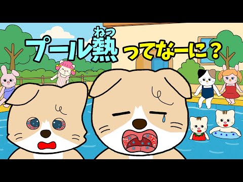 【アニメ 絵本読み聞かせ】プール熱ってなーに？〜夏風邪の物語〜