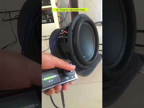 12" Phoenix subwoofer bass check