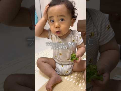 好きな食べ物が増していく1歳児🥦🍛🐹 #タイムスリップ #とあぴー