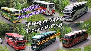 Telolet CIMERAK #busmania