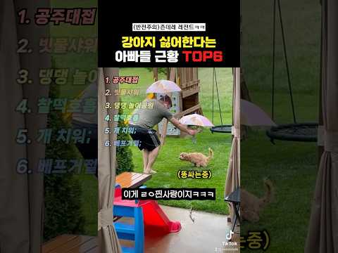 강아지 싫어한다는 아빠들근황Top6#랭킹쇼츠