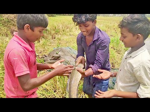 Kids Catching Murrels Fish in Sludge – Epic Fishing Adventure!