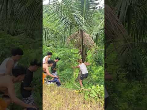 Nakakamis talaga sa probensya #jejemonvines