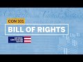 Exploring the Bill of Rights and Its Protections