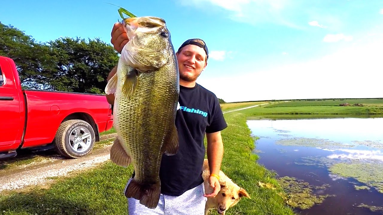 Catching GIANT Bass on Topwater Frogs