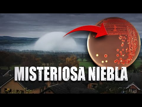 La EXTRAÑA NEBLINA que está preocupando al MUNDO