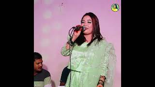 Ancholik Music