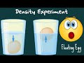 Egg Density and Buoyancy Experiment