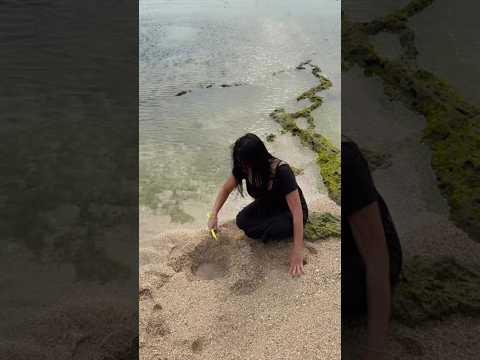 Solusi pengen pup di pantai