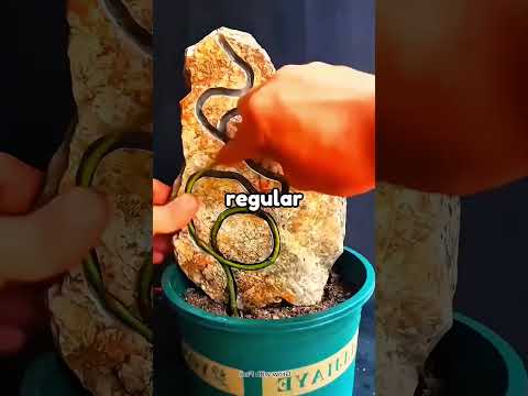 DONT PRESS SOUND