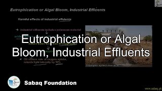 Eutrophication or Algal Bloom, Industrial Effluents