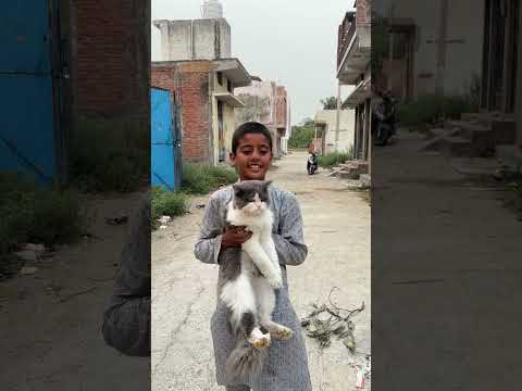 Dumbe ki awaaz 😯❤️🥰🥰#trending #viralshort