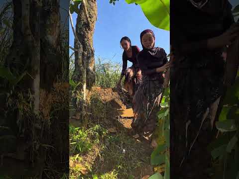 Kesungai sahabat #jandadesa #gadisdesa #kampung #desa