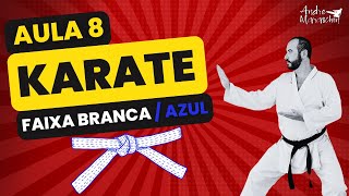 8 AULA DE KARATE - FAIXA BRANCA/AZUL - Técnicas fáceis de fazer