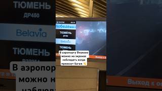 В аэропорту Внуково можно на экранах наблюдать когда привезут багаж 👏