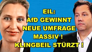 EIL: AfD GEWINNT Umfrage! Klingbeil STÜRZT!
