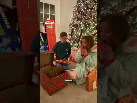 This is the cutest Christmas surprise 🥹🎅         🎥: ViralHog