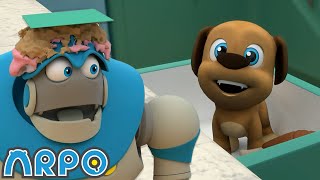 Puppy Birthday Disaster 🐶🎂 | Baby Daniel and ARPO The Robot | Funny Cartoons for Kids