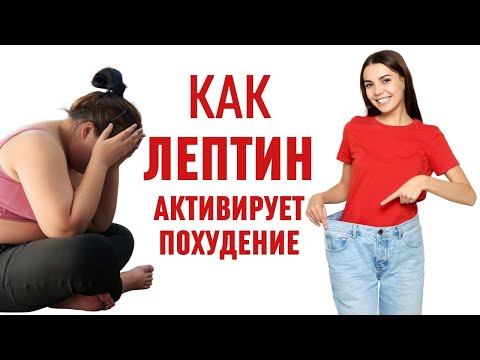 Лептин – гормон худобы и как его активировать