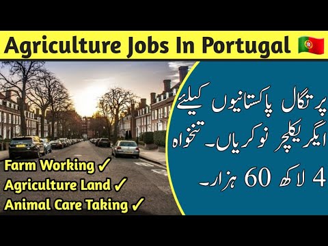 Portugal Agriculture Jobs & Work Visa || Every Visa || Hindi/Urdu ||