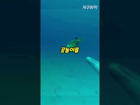 셀프로 공기가 들어가는 배구공