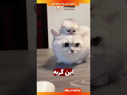 انگشت اضافه روی دستات