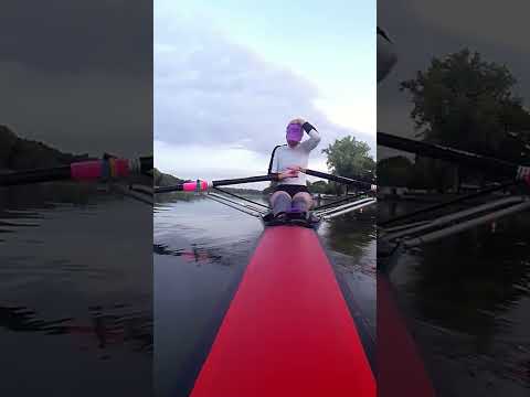 Goose Retaliates After Contact With Rower