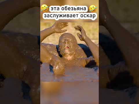 Эта обезьяна сделала мой день