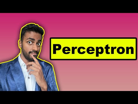 Perceptron - Explained!