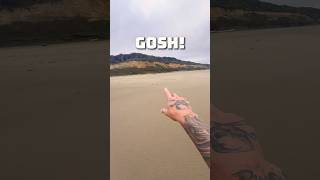 HUGE Animal Washes Up on Beach! 😱 #animals #nature #shorts