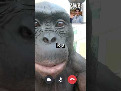 I Can’t believe he answered…