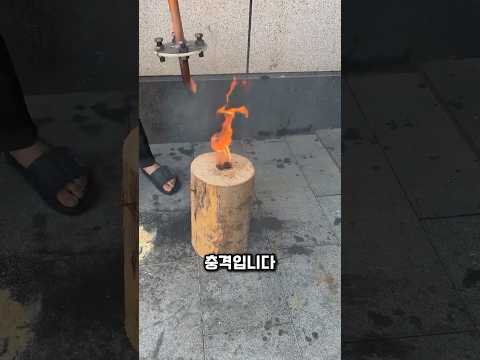 불 없이 불 피우는 법? 원시 생존 기술의 비밀!