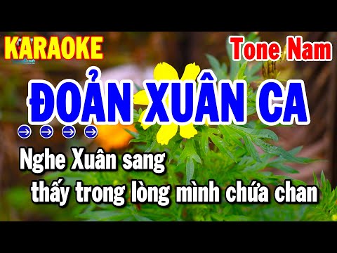 Karaoke Đoản Xuân Ca Tone Nam Nhạc Xuân Dễ Hát 2025 | Thanh Hải